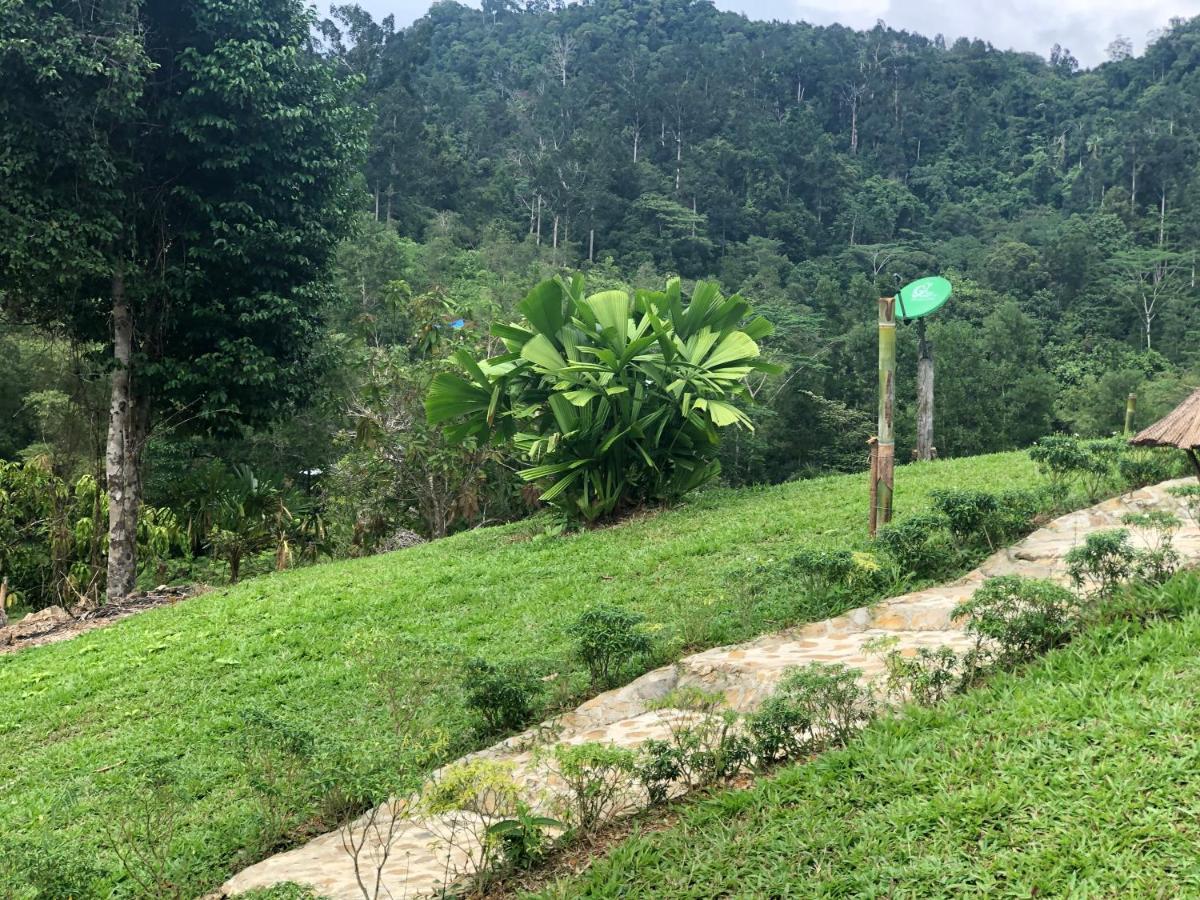 Backpacker'S Hill Resort San Vicente  Luaran gambar
